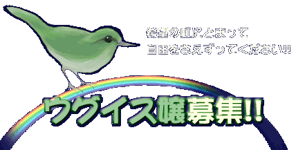 希望の虹にとまって、自由をさえずってください─ウグイス嬢募集!!